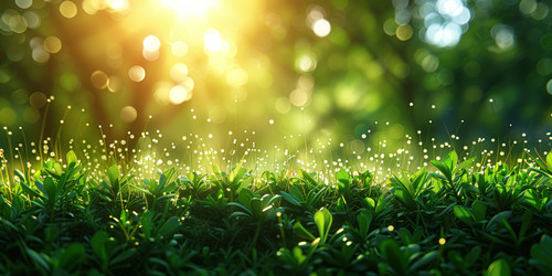 Similar image 22094181