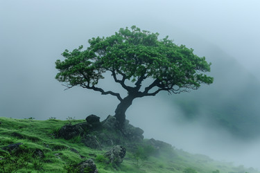 Similar image 22094182