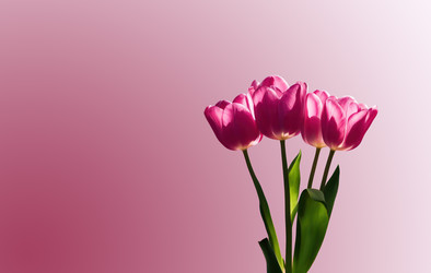 Similar image 22106736