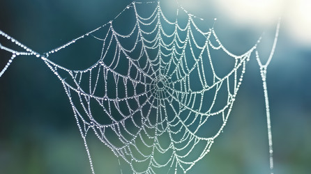 Similar image 22123942