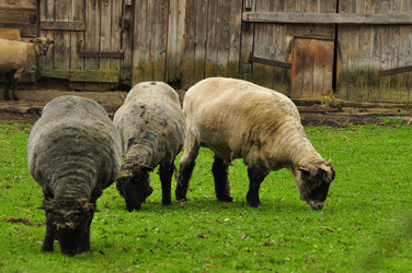 Similar image 22129915