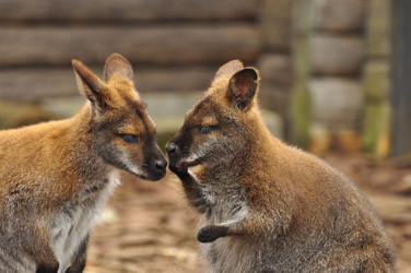 Similar image 22126974