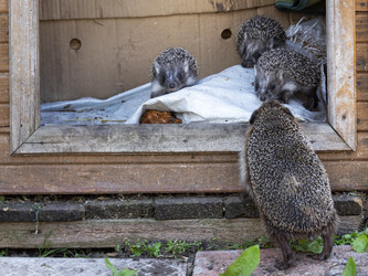 Similar image 22114513