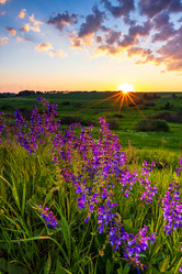 Similar image 22114514