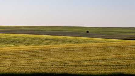 Similar image 22114517