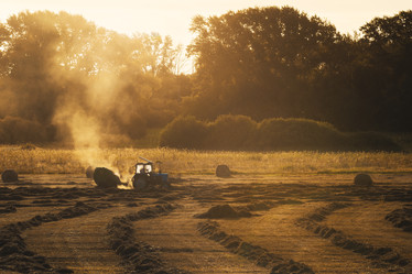 Similar image 22114520