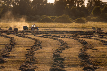 Similar image 22114521