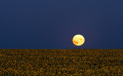 Similar image 22114614