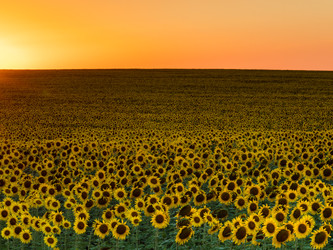 Similar image 22114615