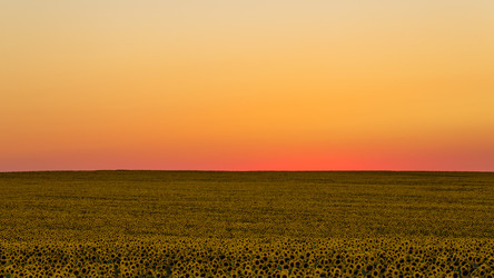 Similar image 22114619