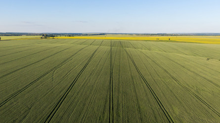 Similar image 22114626