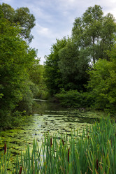 Similar image 22114628