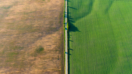 Similar image 22114634