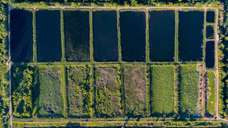 Similar image 22114637