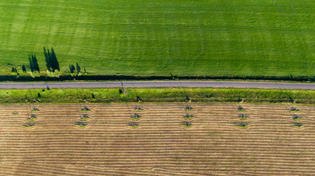 Similar image 22114640