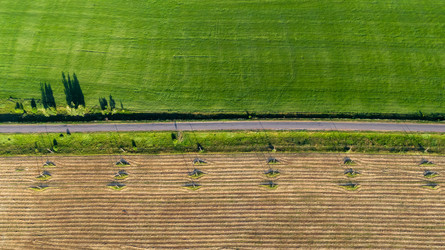 Similar image 22114641