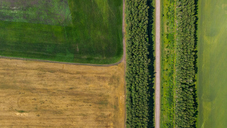 Similar image 22114644