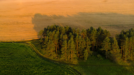 Similar image 22114646