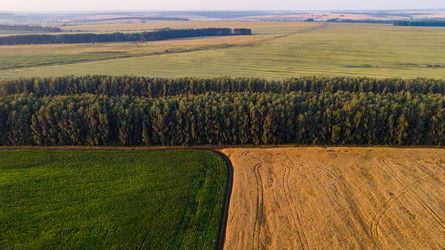 Similar image 22114648