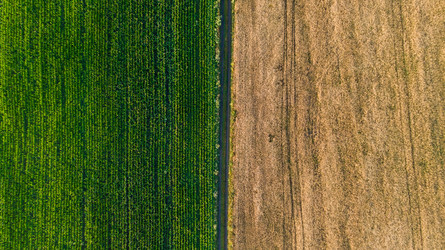 Similar image 22114649