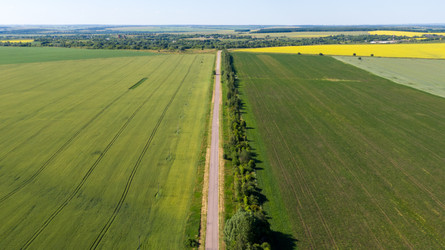 Similar image 22114656