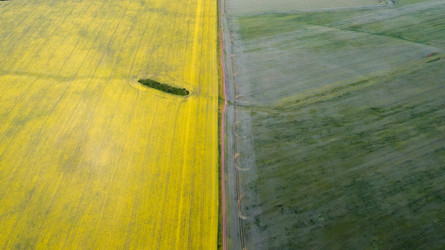 Similar image 22114657