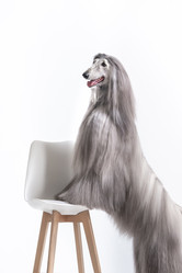 Similar image 22124731