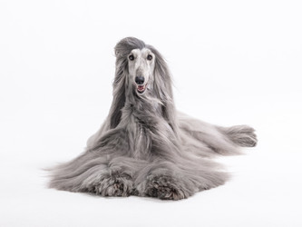 Similar image 22124733