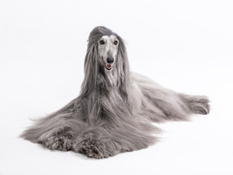 Similar image 22124734