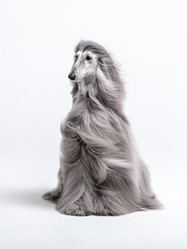 Similar image 22124735