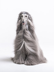 Similar image 22124736