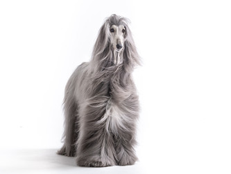 Similar image 22124738