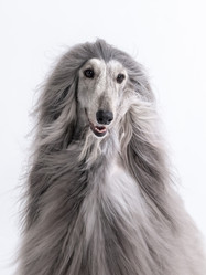 Similar image 22124807