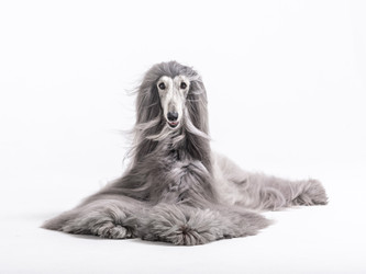 Similar image 22124808