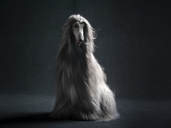 Similar image 22124810