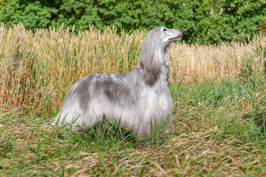 Similar image 22124811