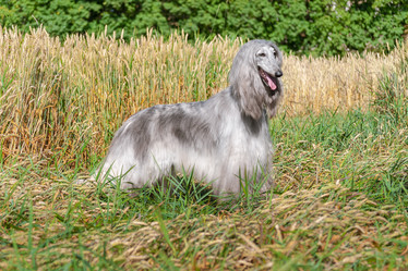 Similar image 22124812