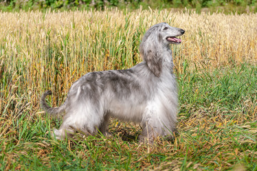 Similar image 22124813