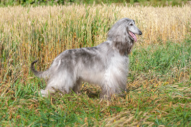 Similar image 22124814