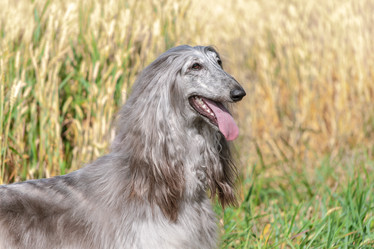 Similar image 22124815