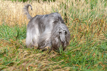 Similar image 22124816