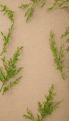 Similar image 22093080