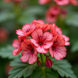 Similar image 22119369