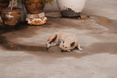 Similar image 22099945