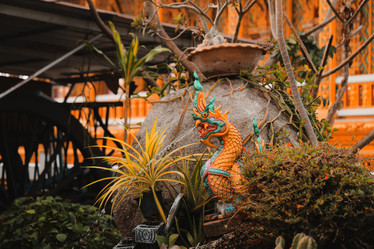 Similar image 22100093