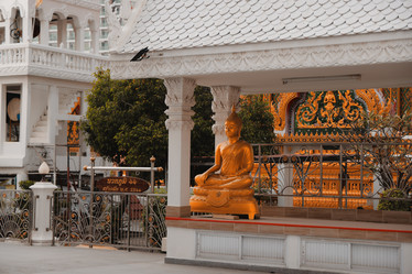 Similar image 22100103