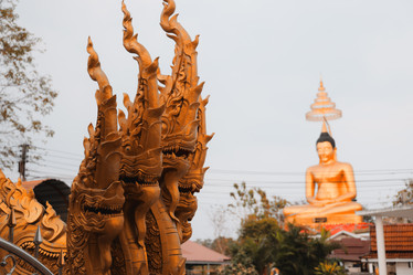 Similar image 22100120