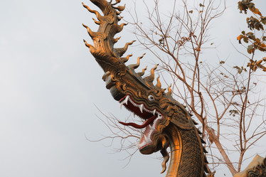 Similar image 22099653