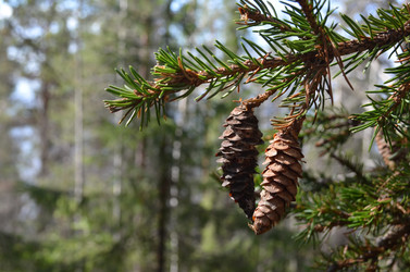 Similar image 22092837