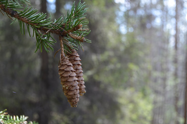 Similar image 22092838